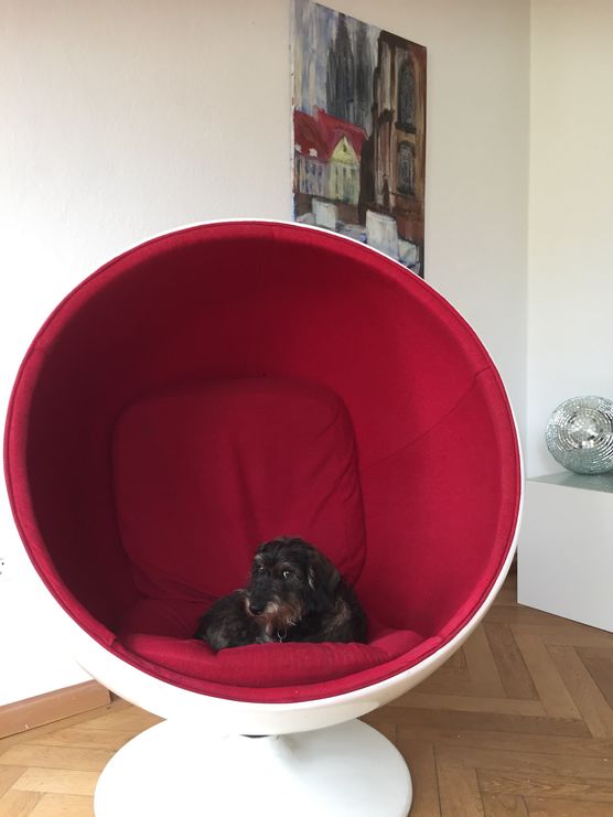 Bild von SuzieQuattro Bild von SuzieQuattro