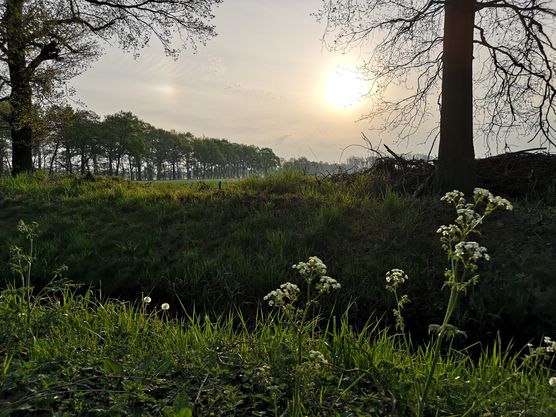 Heute Morgen auf dem Heute Morgen auf dem