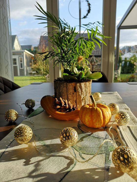 Die erste kleine Herbstdeko Die erste kleine Herbstdeko