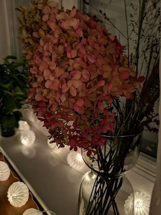 Ich habe den Garten Ich habe den Garten