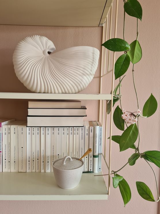 Schwarmintelligenz gefragt: Diese Hängepflanze Schwarmintelligenz gefragt: Diese Hängepflanze