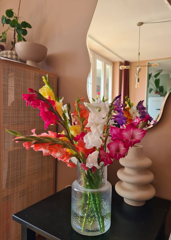 Gladiolen - für mich Gladiolen - für mich