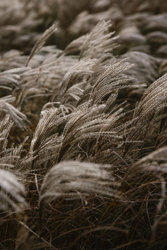 Wenn mich eines zu Wenn mich eines zu