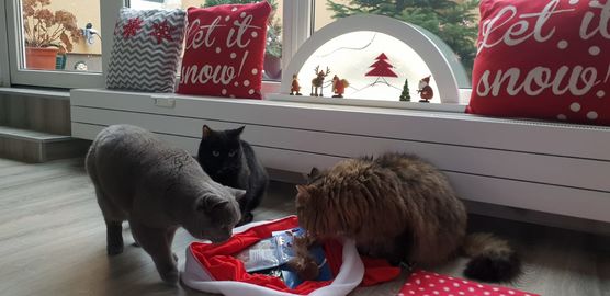 Was es da wohl Was es da wohl