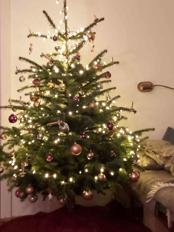 Bild von Tschusli und Pieps Bild von Tschusli und Pieps