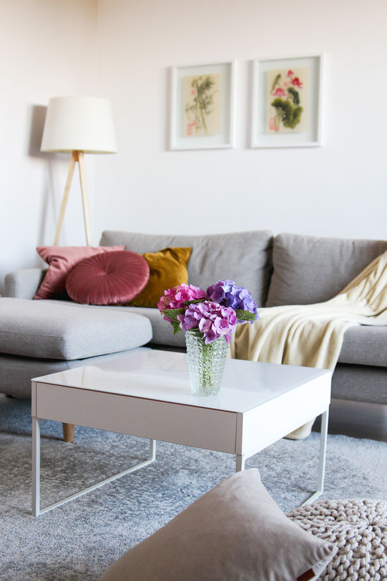 Endlich sind die Bilder Endlich sind die Bilder