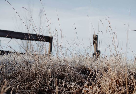 Bild von tamara. Bild von tamara.