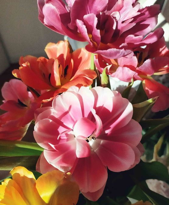 Bild von tamara. Bild von tamara.