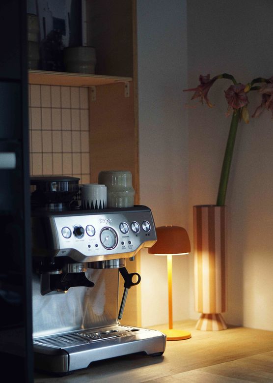 Bild von tamara. Bild von tamara.