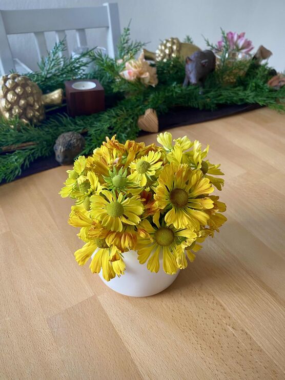 Bild von Ellen Schulz Bild von Ellen Schulz