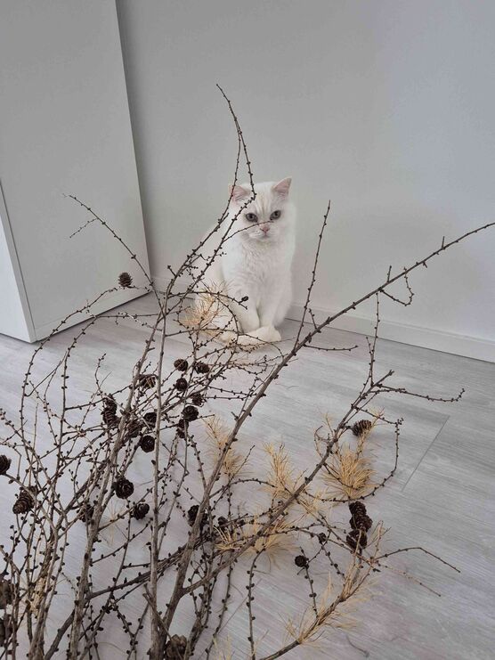 Bild von Nordseekind75 Bild von Nordseekind75