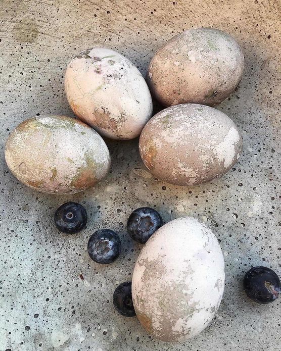 Bild von Homeandgardenstyler Bild von Homeandgardenstyler