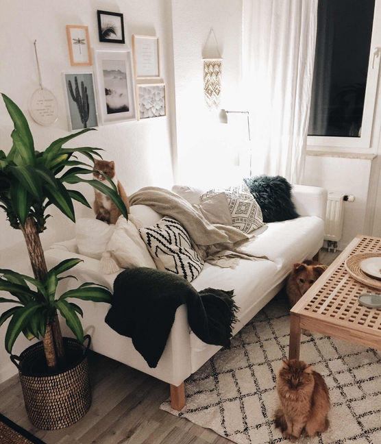 Bild von Fräuleinjanosch Bild von Fräuleinjanosch