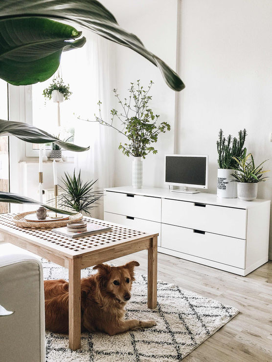 Bild von Fräuleinjanosch Bild von Fräuleinjanosch