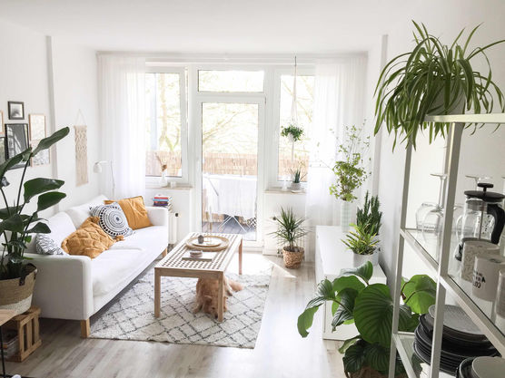 Bild von Fräuleinjanosch Bild von Fräuleinjanosch