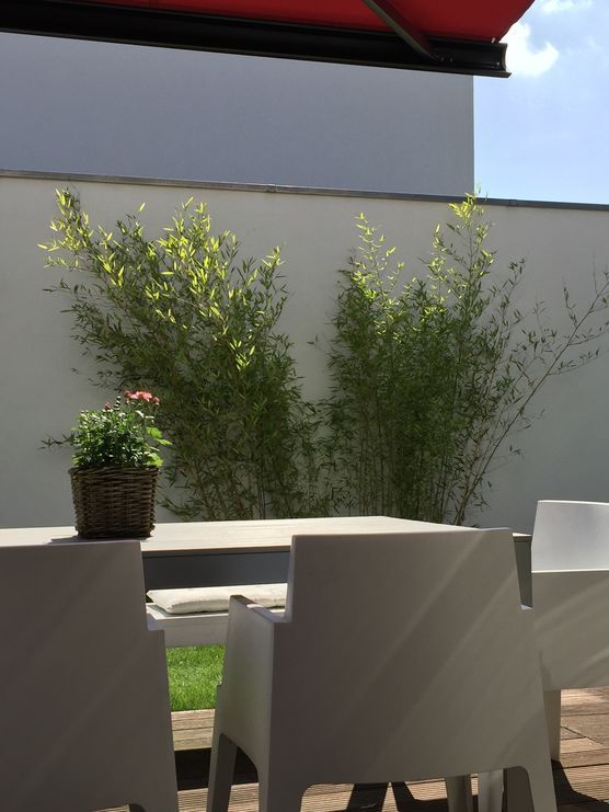 Endlich wieder Sonne Endlich wieder Sonne