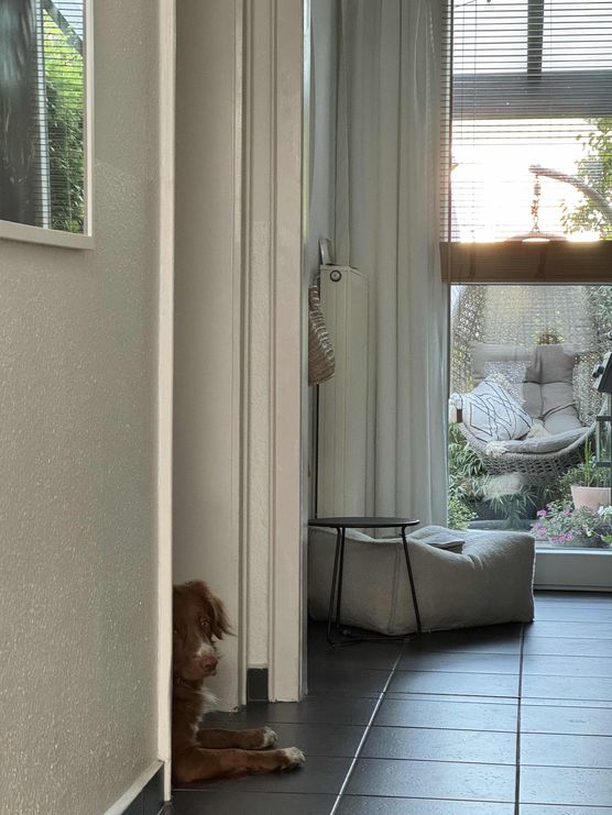 Bild von fro_mani Bild von fro_mani