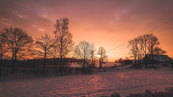 Bild von Anja Tie Bild von Anja Tie