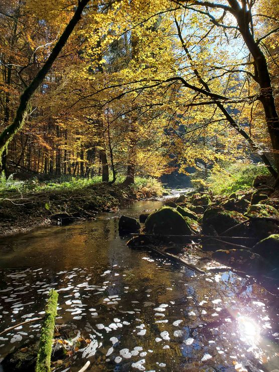 Bild von Anja Tie Bild von Anja Tie