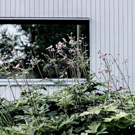 ... wer hätte gedacht, ... wer hätte gedacht,