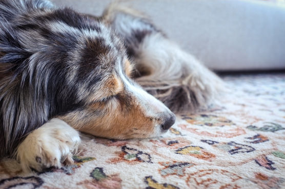 Ich war ganz schön Ich war ganz schön