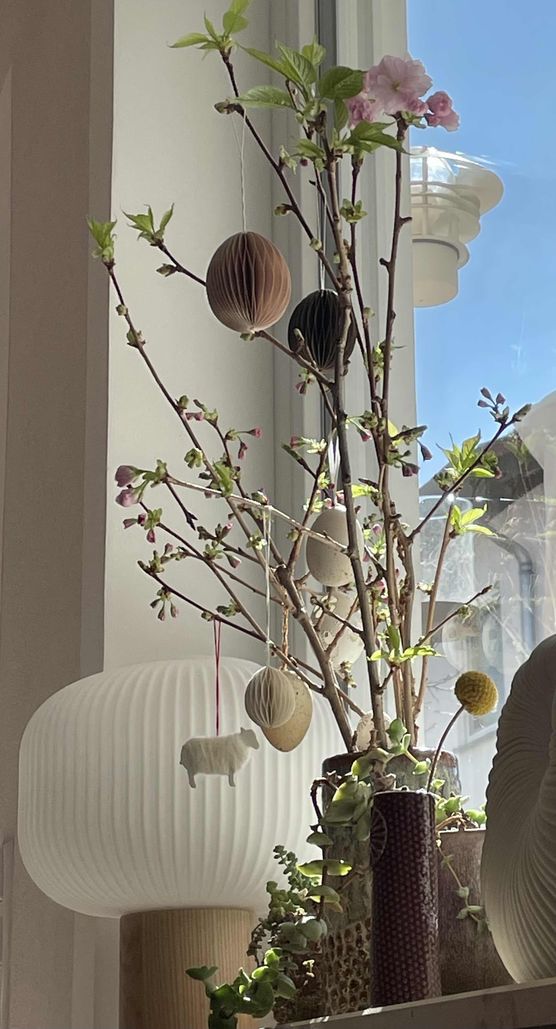 Bild von filoukaloo Bild von filoukaloo