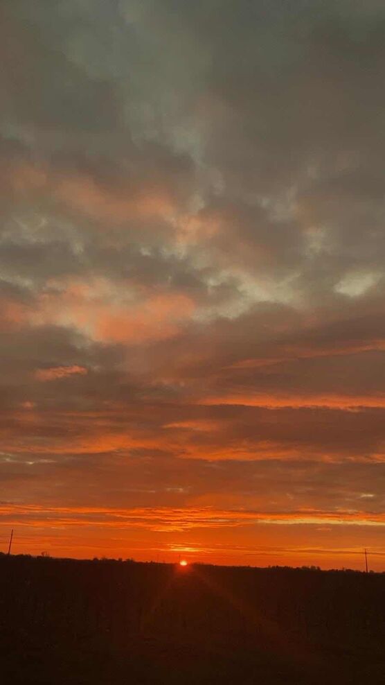 Bild von filoukaloo Bild von filoukaloo