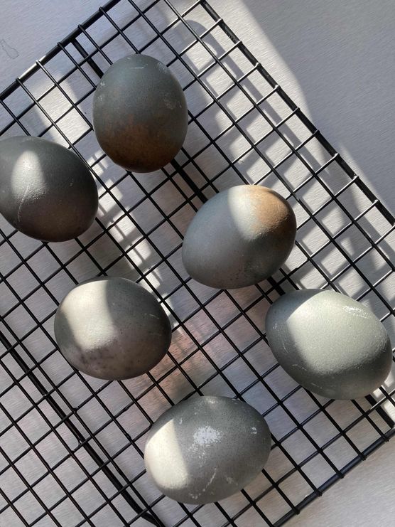 Bild von Apartment S6 Bild von Apartment S6