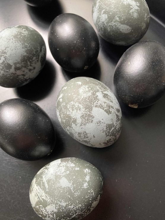 Bild von Apartment S6 Bild von Apartment S6