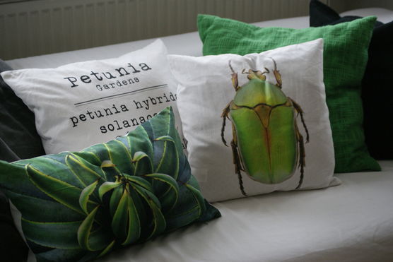 Frischer Wind Frischer Wind