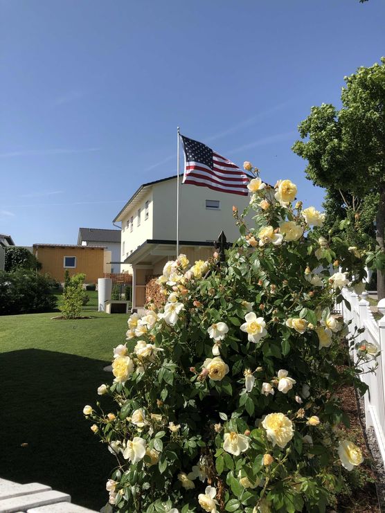 Bild von Manuel Hesse Bild von Manuel Hesse