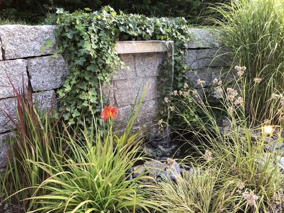 Bild von Manuel Hesse Bild von Manuel Hesse