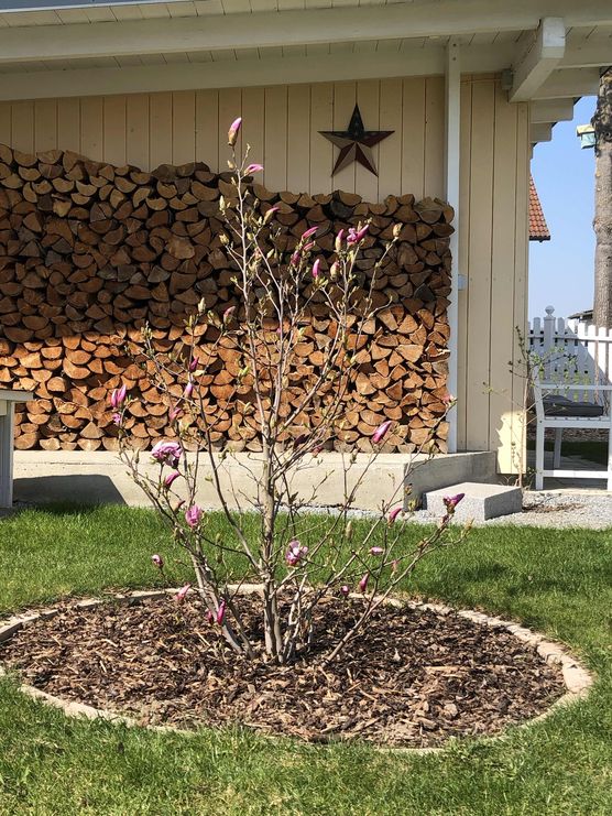 Bild von Manuel Hesse Bild von Manuel Hesse