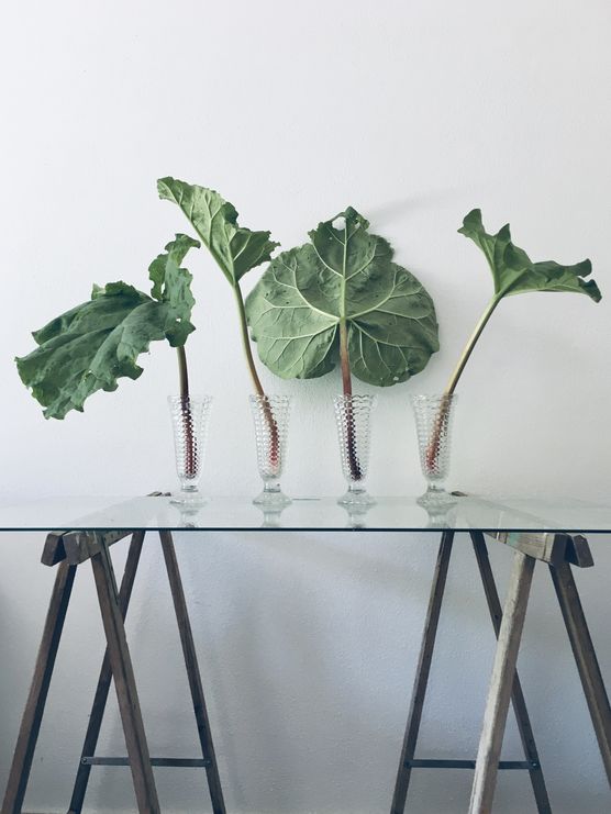 SAISONENDE RHABARBER - HAST SAISONENDE RHABARBER - HAST