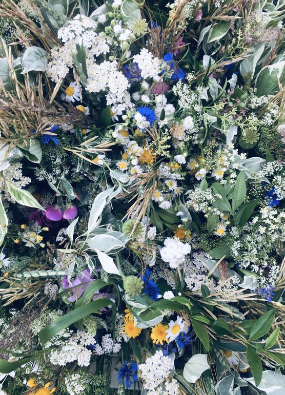 ACHTZIG - KLEINE WIESENBLUMEN ACHTZIG - KLEINE WIESENBLUMEN