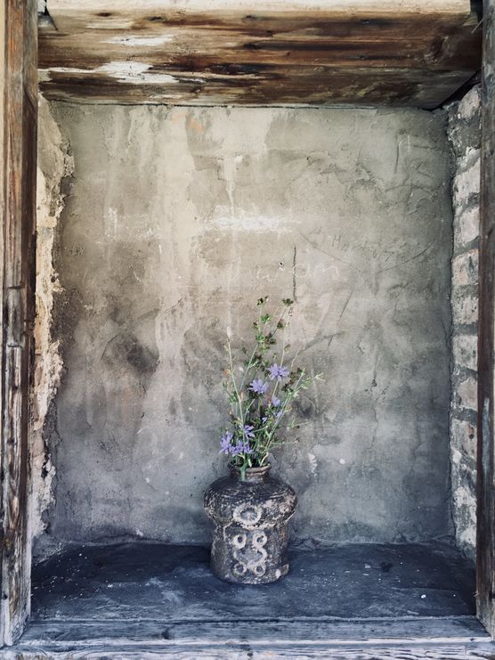 MIT DEN WILDEN KORNBLUMEN MIT DEN WILDEN KORNBLUMEN