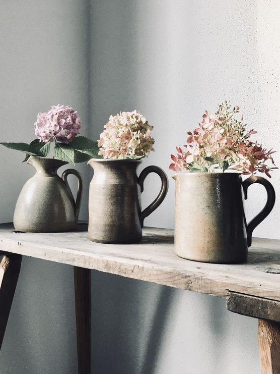 HORTENSIEN IN DER ABENDSONNE, HORTENSIEN IN DER ABENDSONNE,