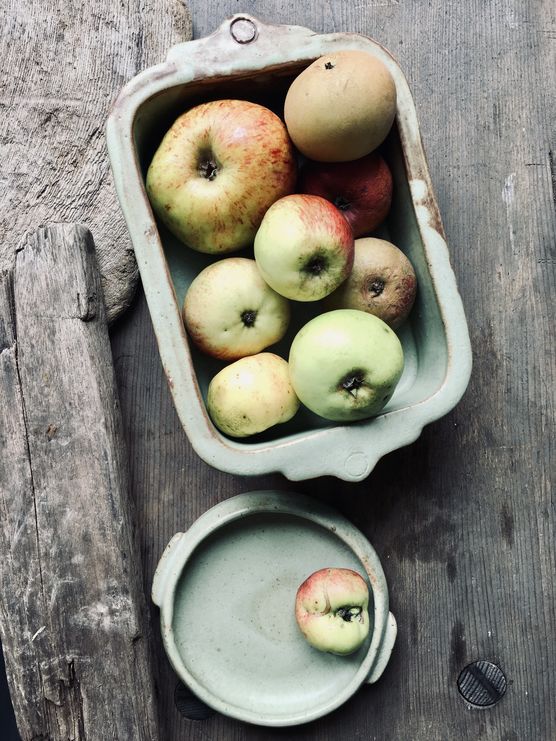 WEITE WEG ZURÜCK GELEGT WEITE WEG ZURÜCK GELEGT