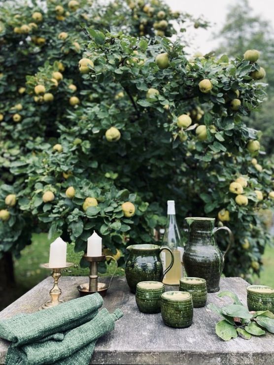 HERBSTVIBES IM GOLDENEN OKTOBER HERBSTVIBES IM GOLDENEN OKTOBER