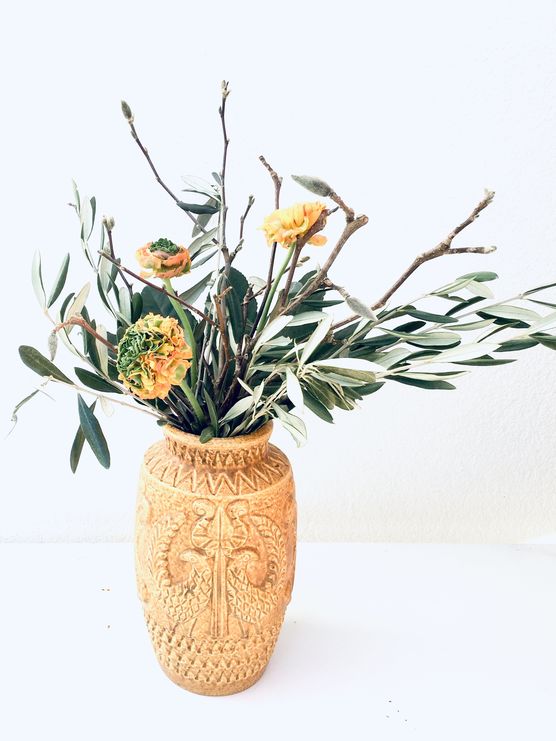 💚🤎💛 💚🤎💛