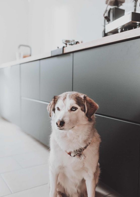 Bild von MelissaKaczmarek Bild von MelissaKaczmarek