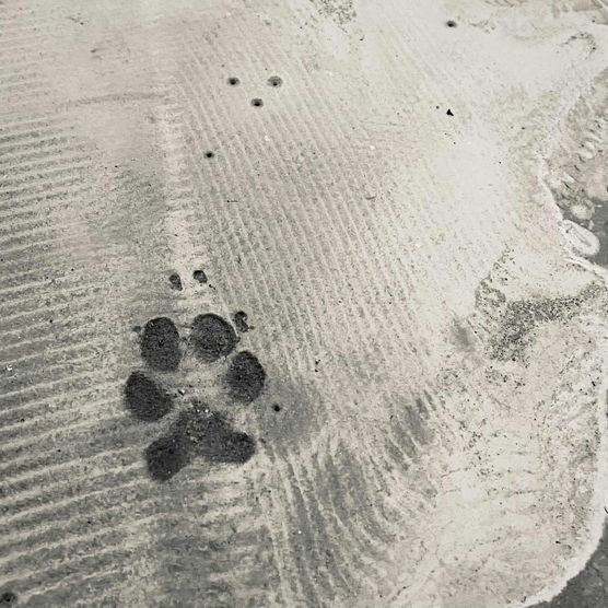 Bild von MelissaKaczmarek Bild von MelissaKaczmarek