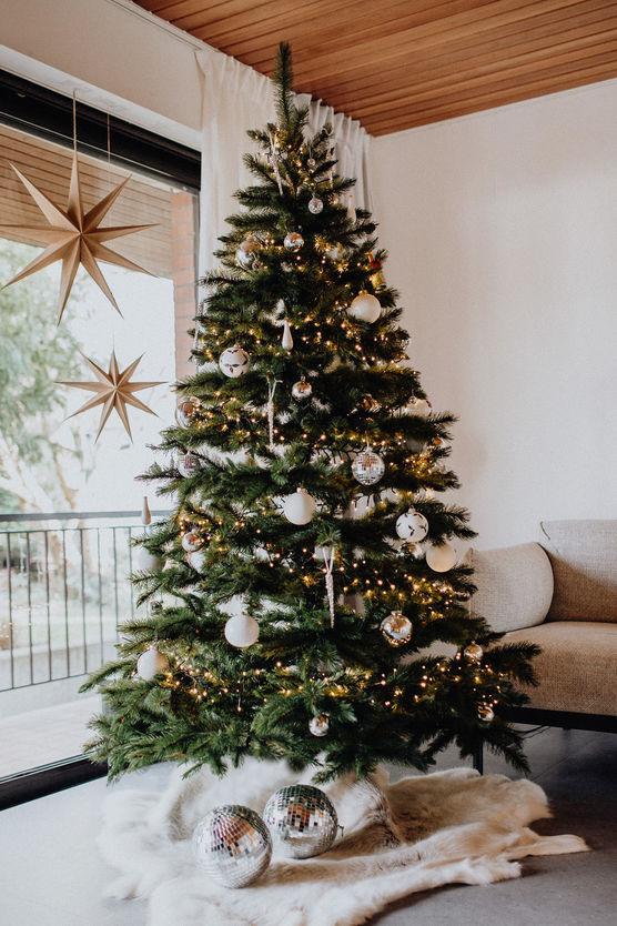 Ciao Ciao lieber Weihnachtsbaum. Ciao Ciao lieber Weihnachtsbaum.