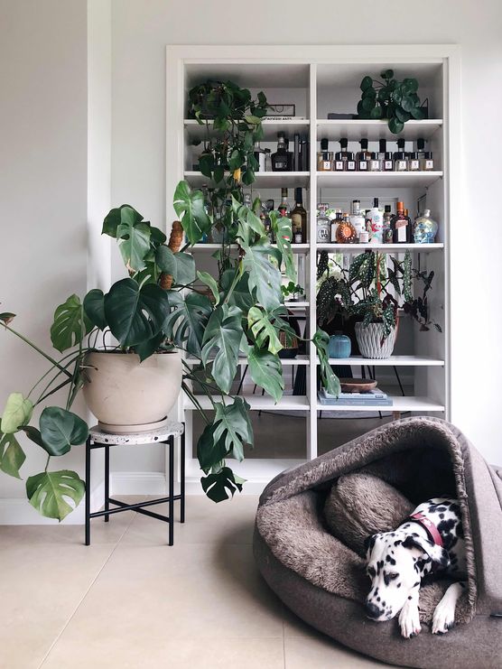 Bild von ourhomecgn Bild von ourhomecgn