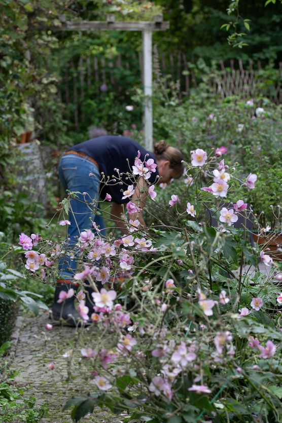 Die (vor-)letzten Handgriffe bevor Die (vor-)letzten Handgriffe bevor