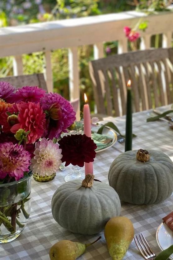 DAHLIEN: Sie zaubern im DAHLIEN: Sie zaubern im