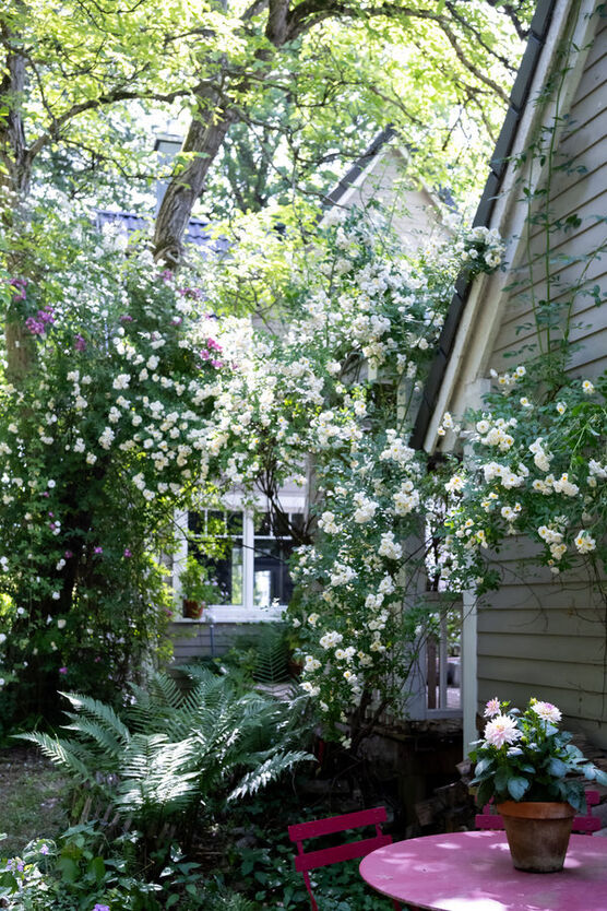 Falls Du denkst, Dein Falls Du denkst, Dein