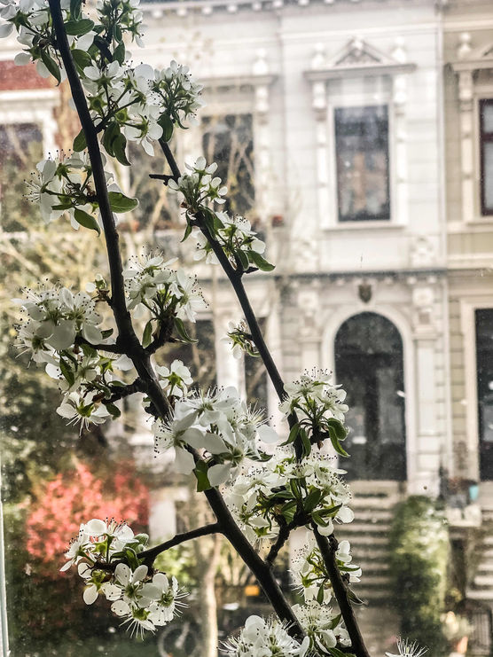 Bild von antonia_at_home Bild von antonia_at_home