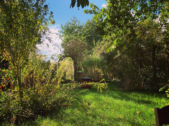 Bild von nobudgetchic Bild von nobudgetchic