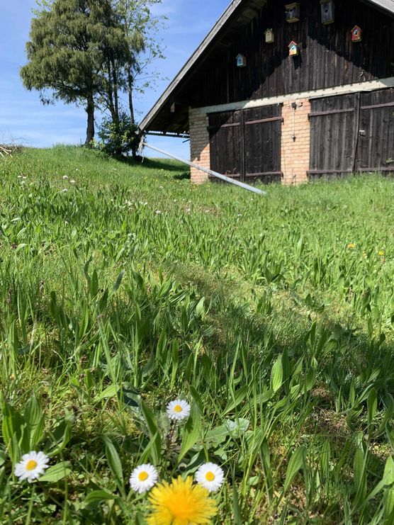 Bild von Dorfmädle Bild von Dorfmädle